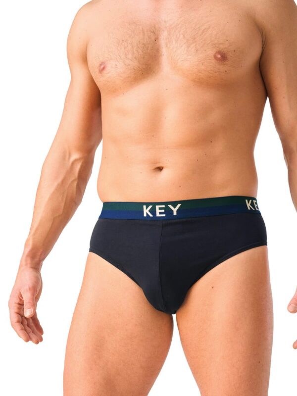 Stonowane slipy 2 szt. Key