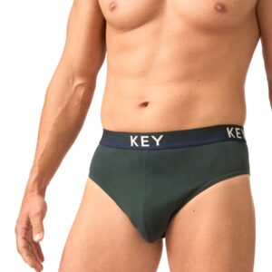 Stonowane slipy 2 szt. Key