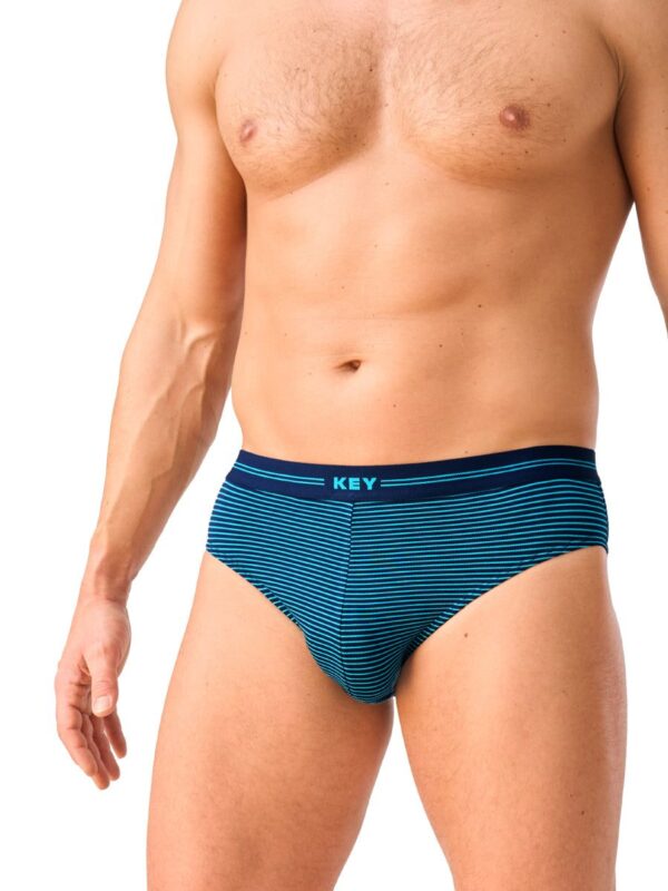 Bambusowe slipy w paski (do 4XL) 2 szt. Key