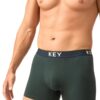 Stonowane bokserki Key – zielone