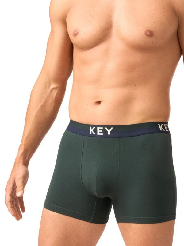 Stonowane bokserki Key – zielone